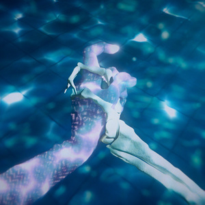 麻豆精品视频入口
