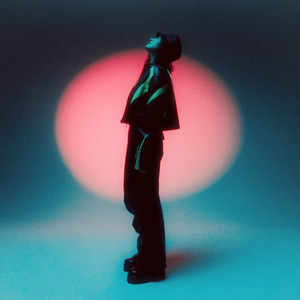 麻豆精品视频入口
