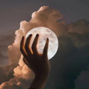 麻豆精品视频入口
