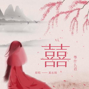 麻豆精品视频入口
