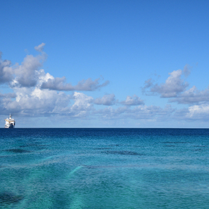 麻豆精品视频入口

